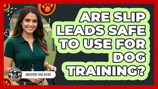 Are Slip Leads Safe To Use For Dog Training? - Obedient Dog Guide