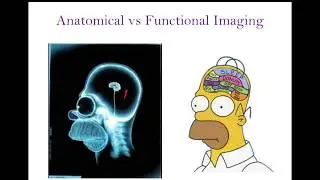 Medical Imaging Techniques