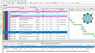 Work Category P6 Lesson iAPSCC®