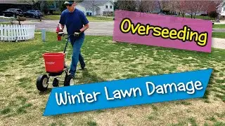 Spring Overseeding for Snow Mold Recovery: Planting PRG While Using a Seed-Safe Pre-Emergent