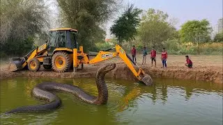 🔴Hitachi JCB 3dx machine excavator vs king cobra  | dessert me snake or Hitachi JCB ka Amna samna !!