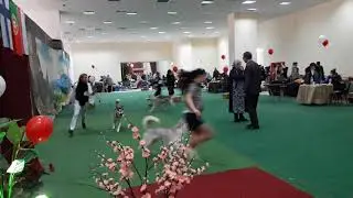 11 марта CACIB-FCI 