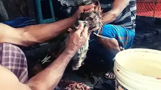 Super fast Boiler Chicken Cutting Skills || At Roadside Chicken Market...