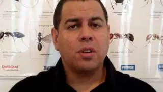 Pest Control NJ - Bedbug, Ants, Bees, Termite, Mice, Fleas Exterminator