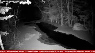 Live  Wildlife Frenzy at McCaslin Brook | Nicolet National Forest 24/7