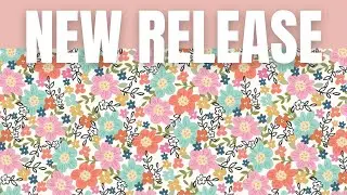 Simple Stories Take Note Collection Overview