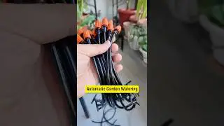 Garden watering system automatically #garden  #amazonfinds #homegarden