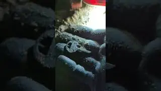 Metal Detecting Mexico Night Hunt Favorite Target! #shorts #corythetreasurehunter #metaldetecting