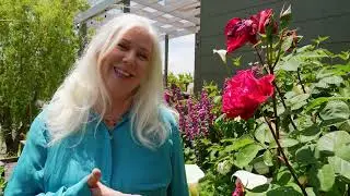 Corcoran Icon Properties Agent, Janet Green (DRE#01921693) talks about investing in real estate!