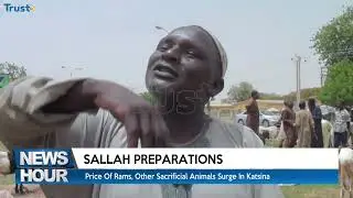 Price Of Rams, Other Sacrificial Animals Surge In Katsina Amid Sallah Preparations