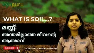 Soil | Fundamentals of Soil | Agricultural Assistant-Farm Assistant | Agriguru | Soil Science | KPSC