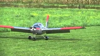 Swiss trainer