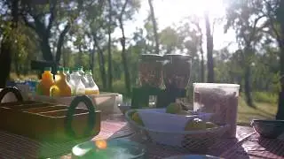 Bush Breakfast at Undara