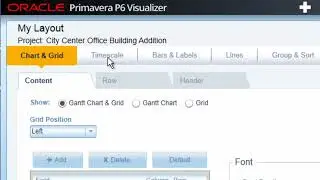 Oracle Primavera P6 Visualizer
