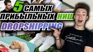 🔥Топ 5 Лучших $1,000,000 Shopify Дропшиппинг Ниш Для Продаж в 2021