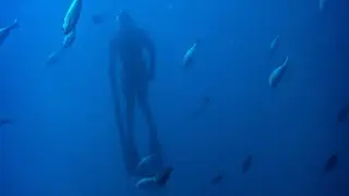 The Coronado Islands | Diving in Clear Conditions in Mexico
