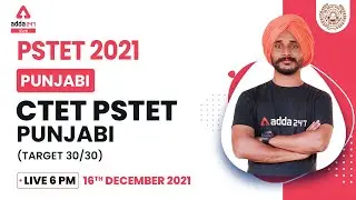 Punjab PSTET 2021 | PSTET Punjabi Grammar | CTET PSTET  Punjabi TARGET 30/30