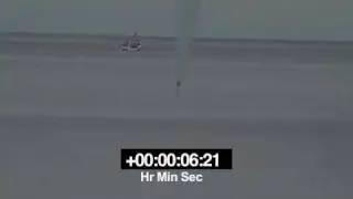 Appalling new footage shows cruelty of Norwegian whaling