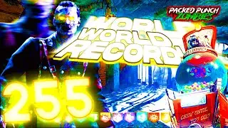 Nacht Der Untoten Round 255 Megas World Record!