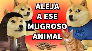 Madre con DERECHO envenena a mi GATO y huye