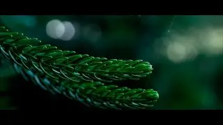 Panasonic G7 UHD 4K Macro Nature Sample Video