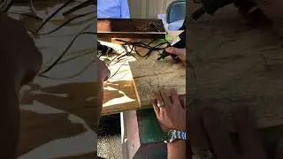 #carving #art #artsy #woodwork #public #swing #project #viral #viralvideo #survivor #eyeofthetiger