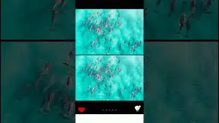 Find 5 difference in this image-5.#gaming #games #gameplay