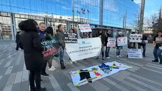 Hearing in Paris over Shein's third party listings for sex dolls and other merchandise
