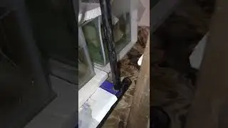 Monster Paccu fish