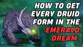 Every New Druid Form in Patch 10.2 And How to Get Them | World of Warcraft | Dragonflight