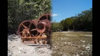 Exploring Windley Key Fossil Reef State Park