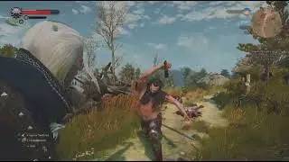 The Witcher 3: Wild Hunt . Cats eyes is sic.