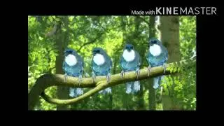 In the night garden birds  Credit to  in the night Garden