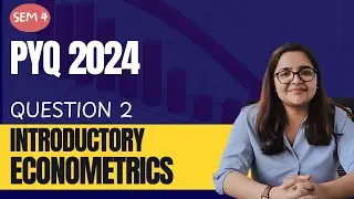 Sem 4 | Introductory Econometrics | PYQ 2024 Question 2 | BA (H) Economics | Delhi University
