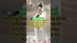 #chualanh #phatgiao #phat #phatphap #daophat #tinhdo  #niemphat  #phatday #shorts .