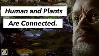 Terence McKenna - Human And Plants Are Connected