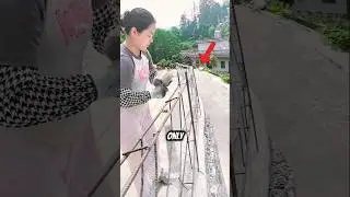 Похоже, это ошибка 😱