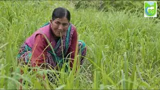 UCRRFP : Basic Information (Uttarakhand Climate Responsive Rainfed Farming Project) Watershed Dep.