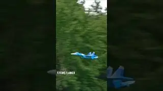 Cobra Maneuvers #aviation #rc #rcplane