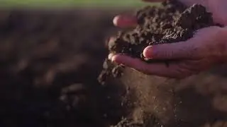 Elders Tamworth Rural | Warragundi West, Currabubula, Liverpool Plains,  NSW