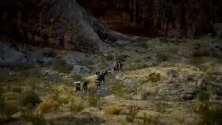 Aspiro Wilderness Therapy - Program Overview