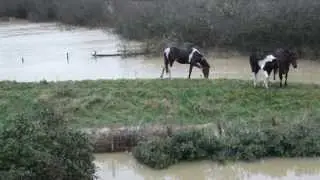 River Eden (Edenbridge) Flooding Burst Banks HD 720p