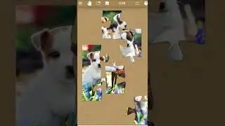 PUZZLE ANJING LUCU | #PUZZLEFORFUN #puzzle #puzzlegame #puzzles #puzzletime #anjing #hewan