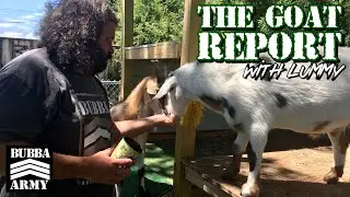 The #Goat report with Lummy! #TheBubbaArmy #animals #farm #goats #goattherapy #ducks