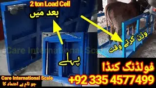 folding weighing Machine for Cattle Farming | Animal Weighing Scale in Pakistan