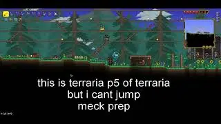 p6 of terraria but i cant jump boss fight prep