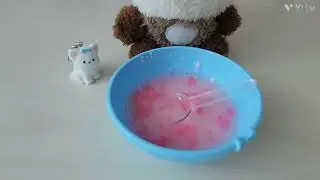 강아지 입양브이로그!🐶
