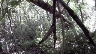 Pacific Recon Tactical Movements