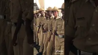 Training days