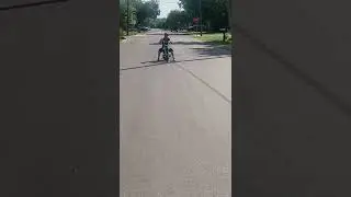 100cc mini chopper